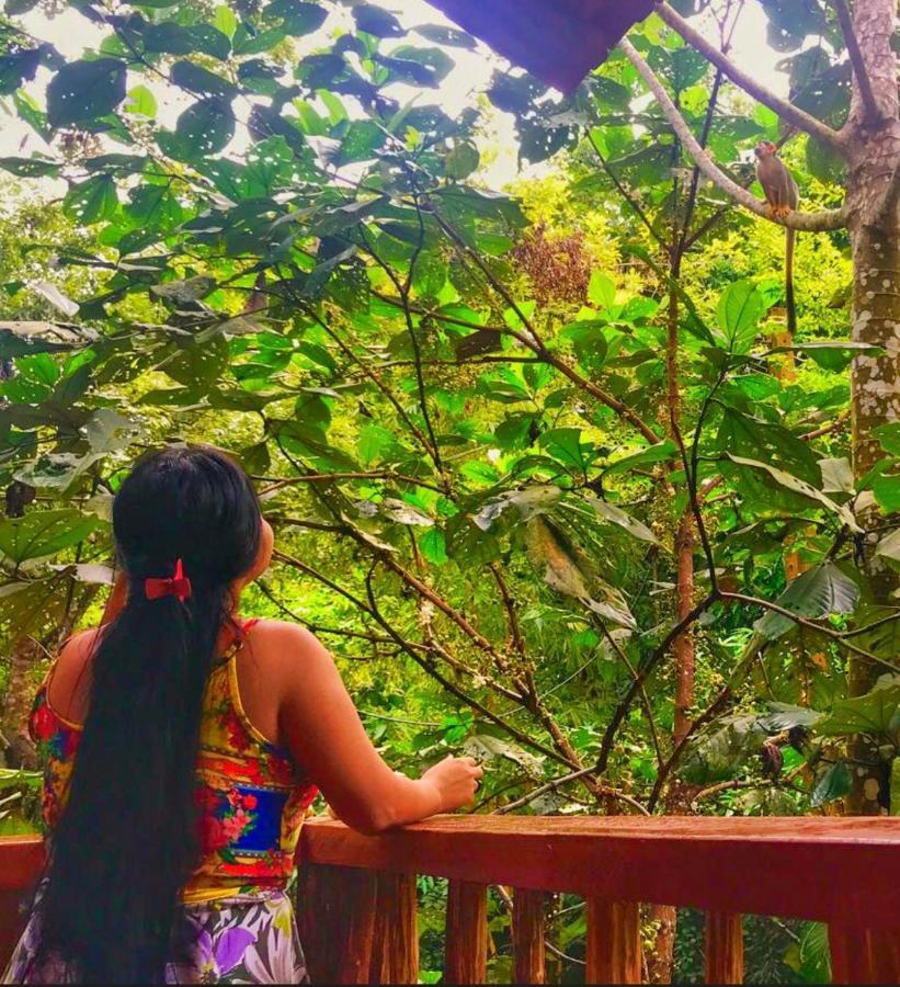 Casa Da Arvore, Sonho Na Amazonia, 2Min A Pe Da Praia Алтер-ду-Шан Екстер'єр фото